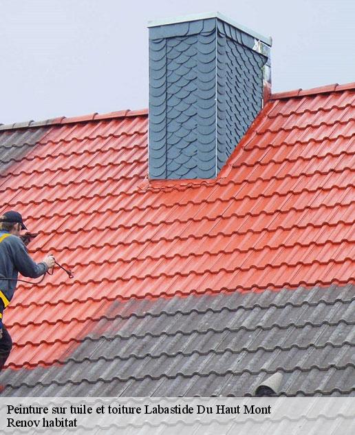 Peinture sur tuile et toiture 46210