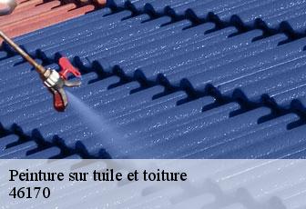 Peinture sur tuile et toiture 46170