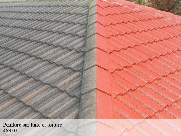 Peinture sur tuile et toiture 46350