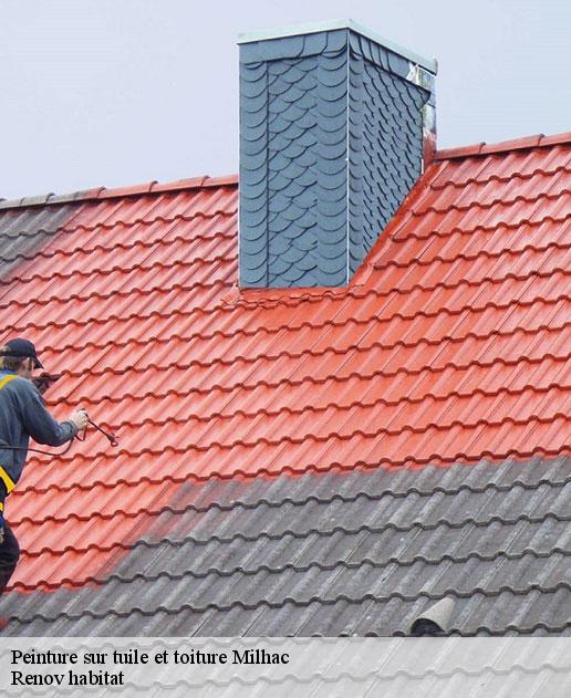 Peinture sur tuile et toiture  46300