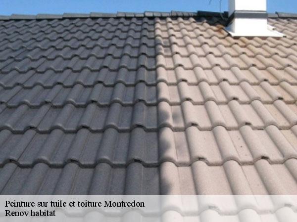 Peinture sur tuile et toiture 46270