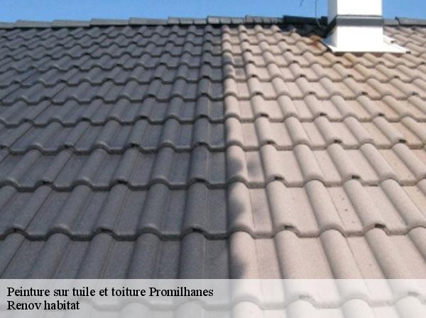 Peinture sur tuile et toiture  46260