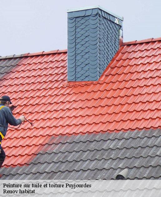 Peinture sur tuile et toiture 46260