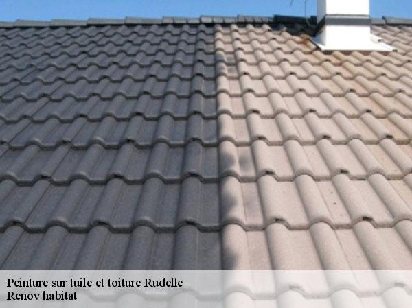 Peinture sur tuile et toiture 46120