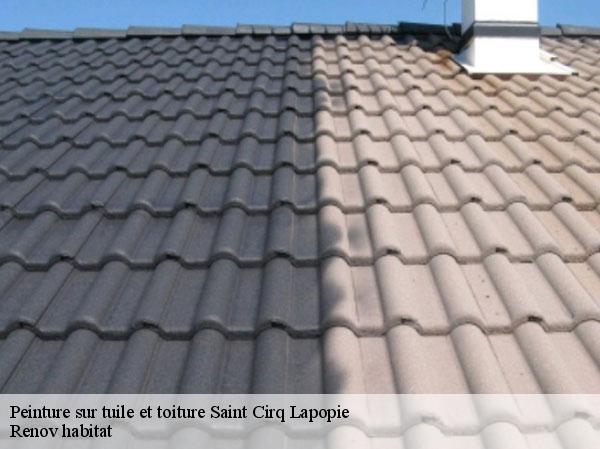 Peinture sur tuile et toiture  46330