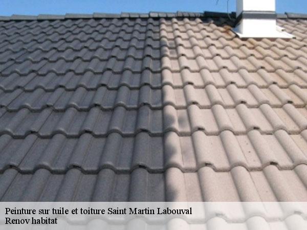 Peinture sur tuile et toiture  46330