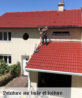 Peinture sur tuile et toiture 46700
