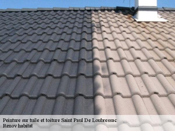 Peinture sur tuile et toiture  46170