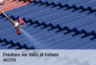 Peinture sur tuile et toiture  46190