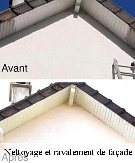 Nettoyage et ravalement de façade 46190